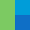 RaiDrive logo